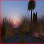 mistyshores2