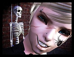 Funny Bonees