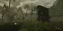 Kong visits to the Bahlum Tribe