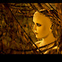 tree spirit