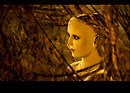 tree spirit