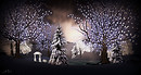 snow_003