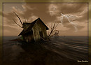 Flood