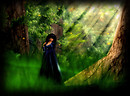 Forest Maiden