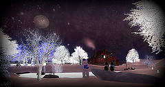 Snapshot_171