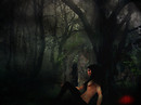 The Forest
