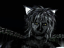 Catz