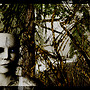 forest secrets