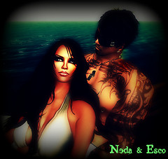 Snapshot_022