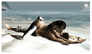 Splendeurs Surfwear - Tortola Braata Beach