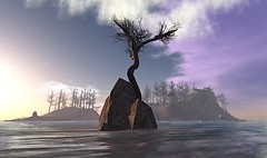 Snapshot_035