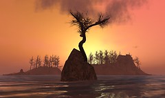 Snapshot_034