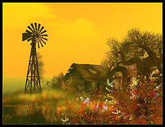 alirium gardens
