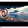 ricciolo di mare
