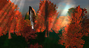 fallgardendreams6_001
