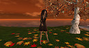 mefall_001