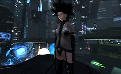 INSILICO - Liqueur Felix