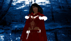 brick iceprincess