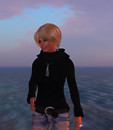 Picture5