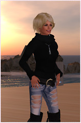 Leo's Lair, second life