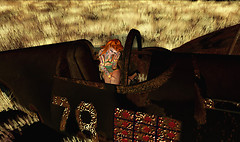 Sundays_3