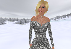 Winterland at Soni's holodeck