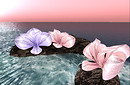 flowersonthewater_002
