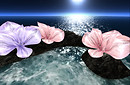 flowersonthewater2_001