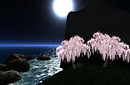 midsomermountain3_001