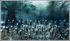 Rikoko's Underwater Garden