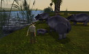 Heritage Key 11
