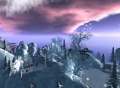 winter - adelaide forest 1