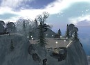 winter - adelaide forest 2
