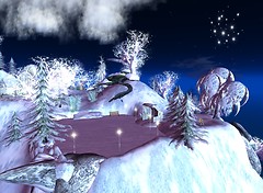 winter -  adelaide forest3