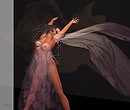 The Veil 2