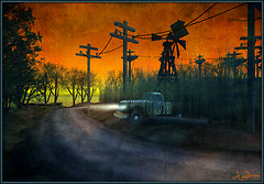 Crossing the cornfield