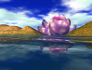 Dimensiona OS_012b