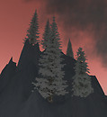 Picture 37