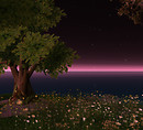 Picture 31