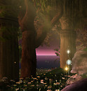 Picture 28