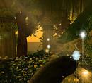 Picture 27