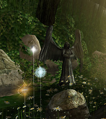 Picture 25