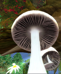 Picture 8