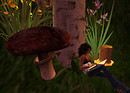 Picture 15