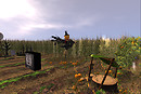 CORN FIELD
