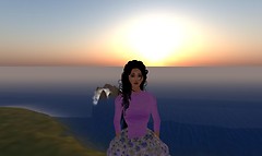 Snapshot_003
