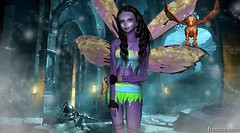 fantasy frenzoo