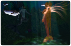 Elder's Aerie_004