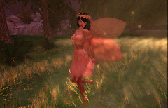 Kar Fairy