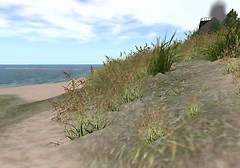 Dunes in SL New England